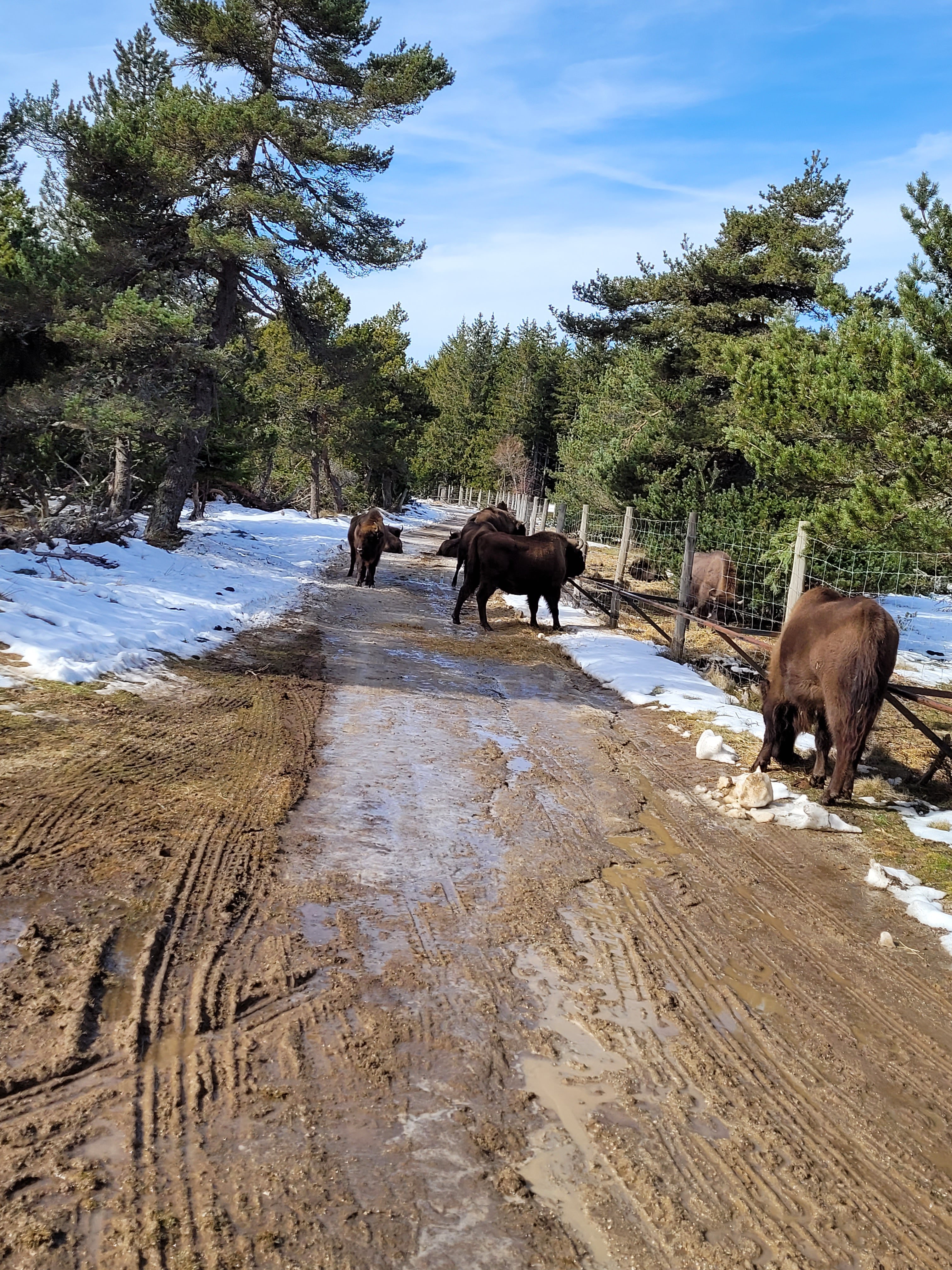 Photo n° 7 de l'avis de Marie.o fait le 19/02/2023 à 15:57