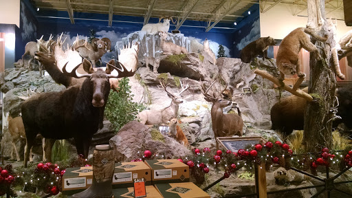 Outdoor Sports Store «Field & Stream», reviews and photos, 2075 Interchange Rd, Erie, PA 16509, USA