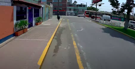 Ciclovía Inicio Avenida Cáceres