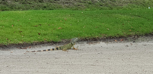 Golf Course «Pembroke Lakes Golf», reviews and photos, 10500 Taft St, Pembroke Pines, FL 33026, USA