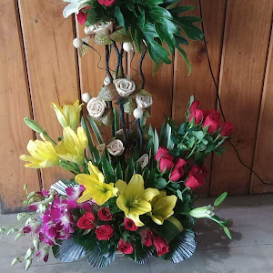 Ferns N Petals photo