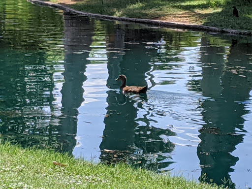 Park «Encanto Park», reviews and photos, 2605 N 15th Ave, Phoenix, AZ 85007, USA