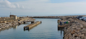 Photo n°8 de OSTRAS - PORT LEUCATE à Leucate ()