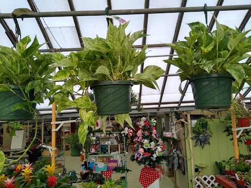 Knollwood Garden Center and Landscaping
