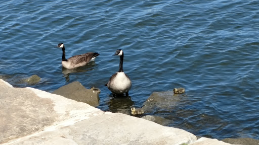 National Park «Fort McHenry National Monument and Historic Shrine», reviews and photos, 2400 E Fort Ave, Baltimore, MD 21230, USA