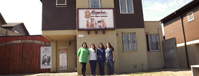 Opiniones de Centro Medico Veterinario Maquehue en Padre Las Casas - Veterinario