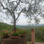 Photo n°1 de l'avis de Alessandro.r fait le 08/05/2022 à 14:46 sur le  Nonna Vera Home Restaurant à Toscolano