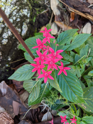 Park «Hammock Park», reviews and photos, 1945 San Mateo Dr, Dunedin, FL 34698, USA