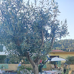 Photo n°3 de l'avis de Rosella.c fait le 26/08/2020 à 21:02 sur le  Olive e Lavanda à Albenga