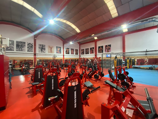 New Old School Gym en Vitoria-Gasteiz, Álava