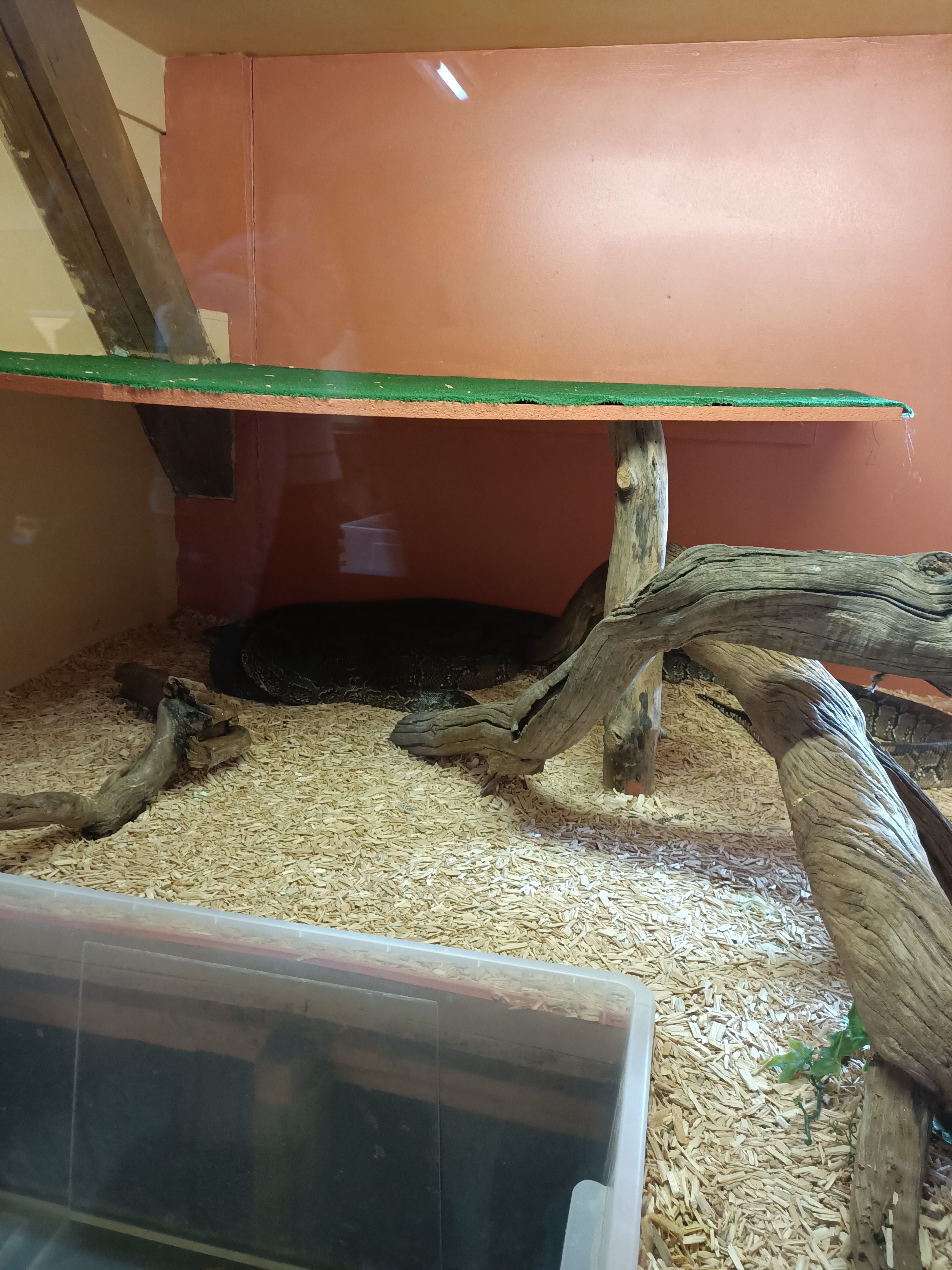 Photo n° 10 de l'avis de Dufau.a fait le 21/02/2024 à 14:51