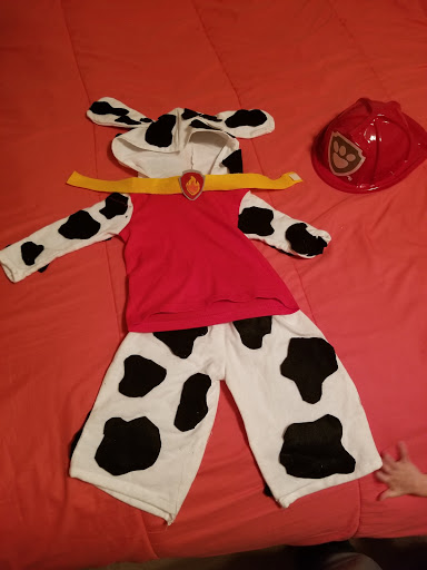 Fabric Store «Jo-Ann Fabrics and Crafts», reviews and photos, 4412 Falls of Neuse Rd #101, Raleigh, NC 27609, USA