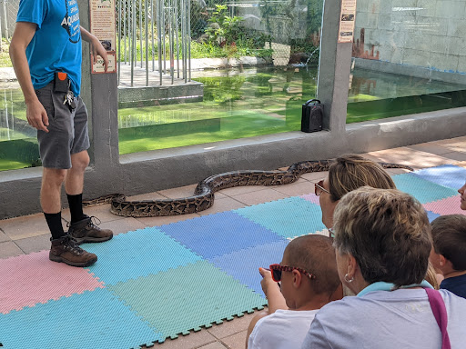 Aquarium «Aquarium Tarpon Springs», reviews and photos, 850 Dodecanese Blvd, Tarpon Springs, FL 34689, USA