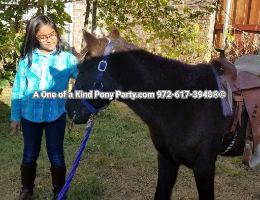 Zoo «A One of A Kind Pony Party», reviews and photos, 912 Bells Chapel Cir, Waxahachie, TX 75165, USA