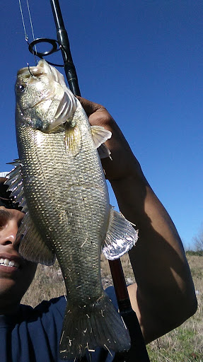 Golf Course «Glenbrook Park Golf Course», reviews and photos, 8205 N Bayou Dr, Houston, TX 77017, USA