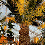 Photo n°4 de l'avis de Ada.e fait le 03/09/2021 à 21:28 sur le  Casamore Ristorante Mediterranea à Hohberg