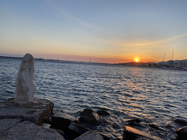 Cardoon Tinos - Τήνος