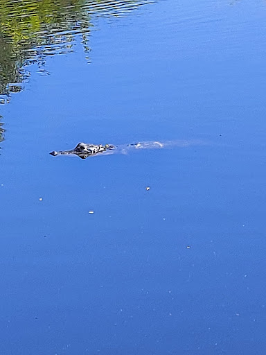 Golf Club «Jekyll Island Golf Club», reviews and photos, 322 Captain Wylly Rd, Jekyll Island, GA 31527, USA