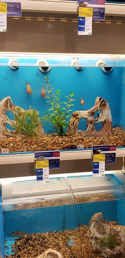 Pet Supply Store «PetSmart», reviews and photos, 2122 N 2nd St, Millville, NJ 08332, USA