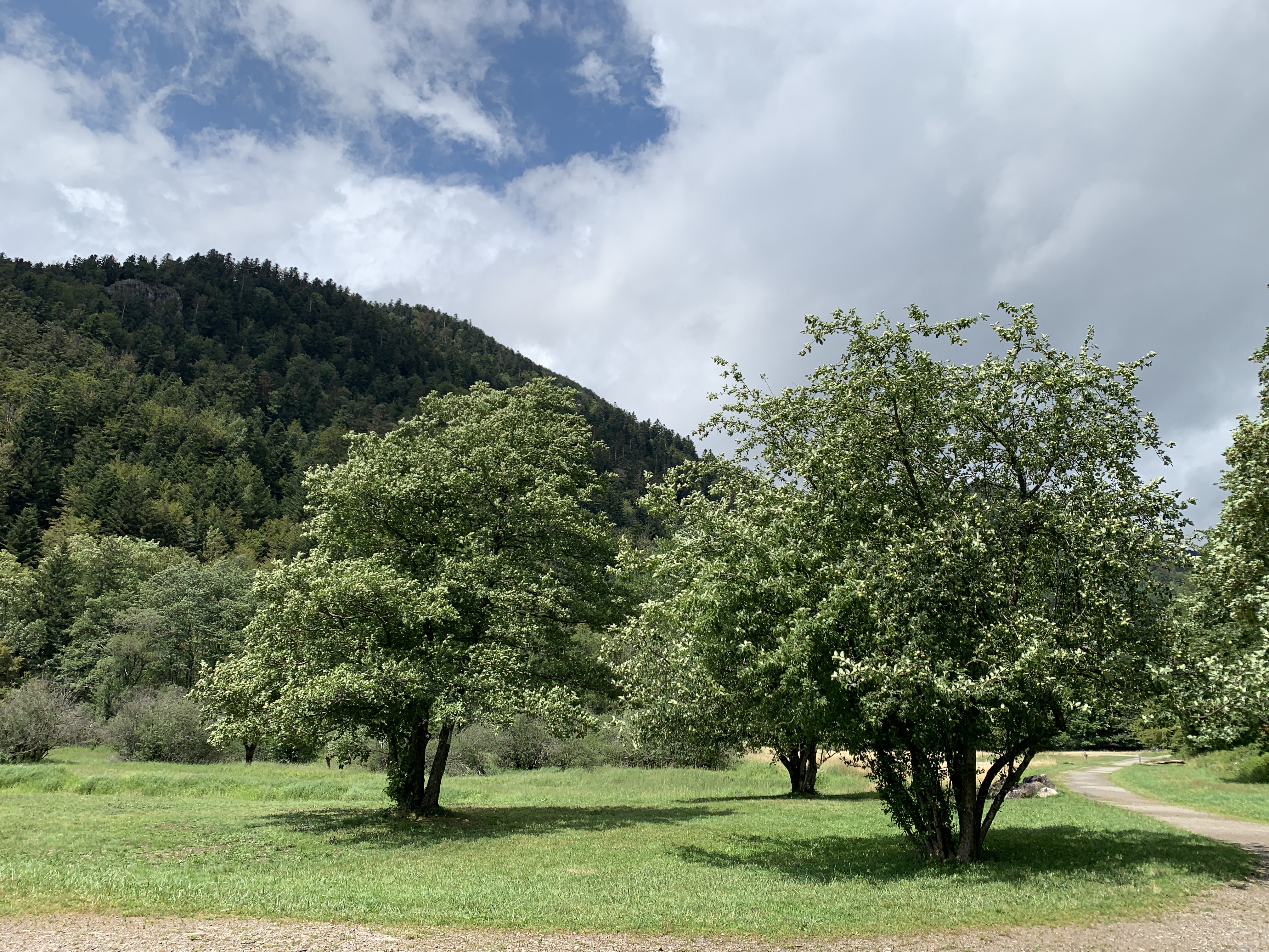 Photo n° 1 de l'avis de Pierrina.a fait le 14/08/2022 à 15:18