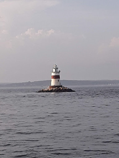 Auto Parts Store «NAPA Auto Parts - Genuine Parts Company», reviews and photos, 1260 Newfield St, Middletown, CT 06457, USA