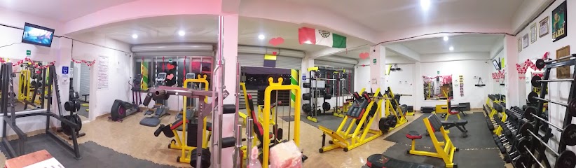 Griffin Gym - Manzana 011, 55998 San Miguel Atlamajac, State of Mexico, Mexico
