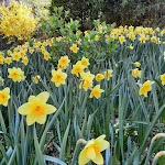 Photo n°1 de l'avis de Kuroi.r fait le 02/04/2022 à 15:49 sur le  Bar Italia à San Brancato