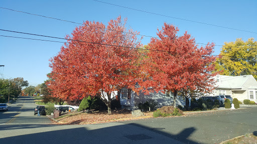 Golf Course «Galloping Hill Park and Golf Course», reviews and photos, 3 Golf Dr, Kenilworth, NJ 07033, USA