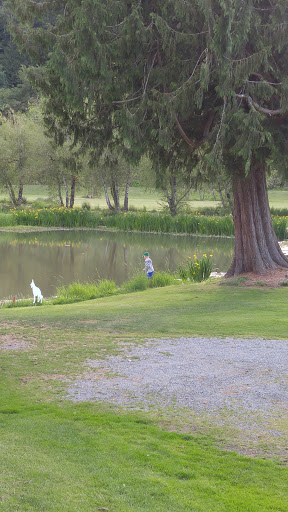 Golf Club «High Cedars Golf Club», reviews and photos, 14604 149th St Ct E, Orting, WA 98360, USA