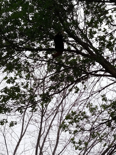 Zoo «Hemker Park & Zoo», reviews and photos, 26715 County Road 39, Freeport, MN 56331, USA