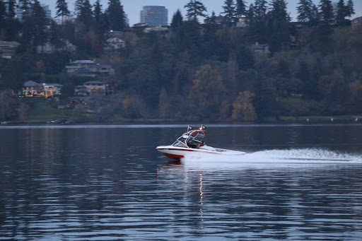 Park «Luther Burbank Park», reviews and photos, 2040 84th Ave SE, Mercer Island, WA 98040, USA