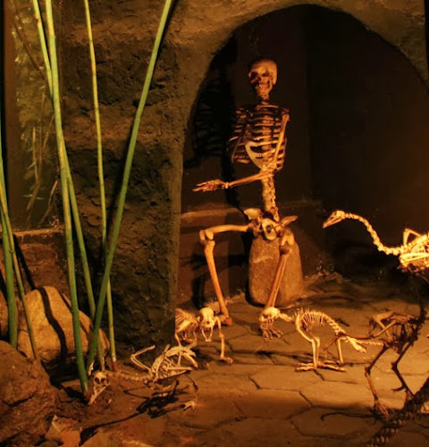 Opiniones de El Museo de Esqueletología en Cuenca - Museo