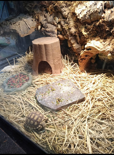 Pet Store «Leesburg Pet Center», reviews and photos, 959 N 14th St, Leesburg, FL 34748, USA