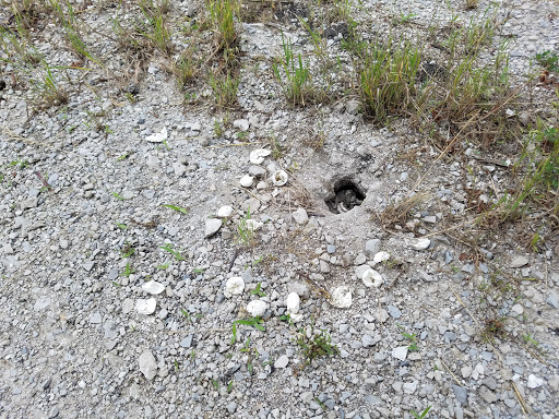 Nature Preserve «Marais Temps Clair Conservation Area», reviews and photos, 5134 Island Road, St Charles, MO 63301, USA