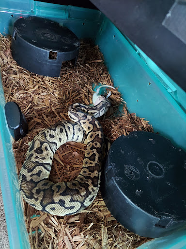 Pet Store «We Love Pets», reviews and photos, 1433 Coshocton Ave, Mt Vernon, OH 43050, USA