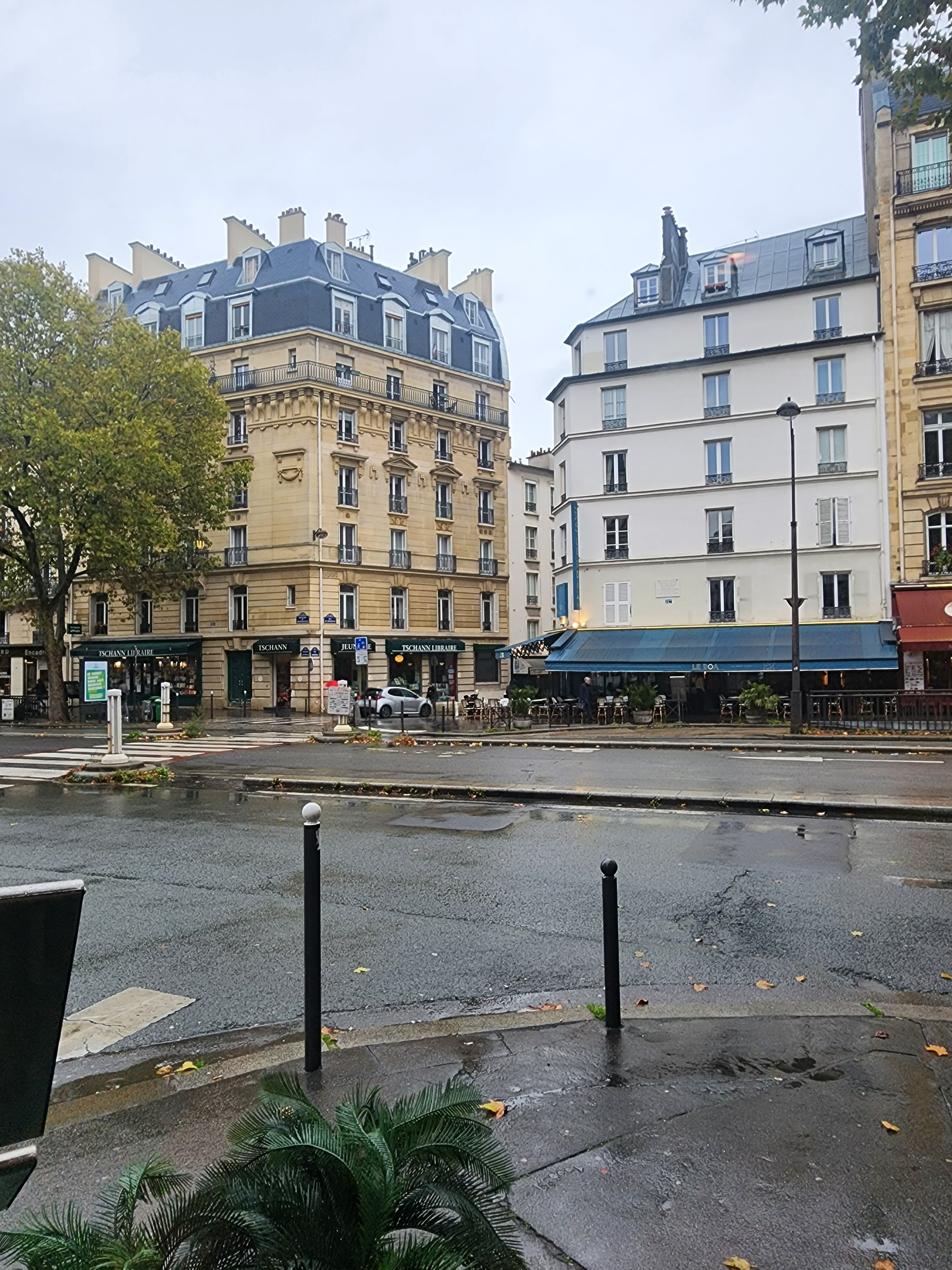 Photo n° 13 de l'avis de J.F... fait le 15/11/2022 à 20:09