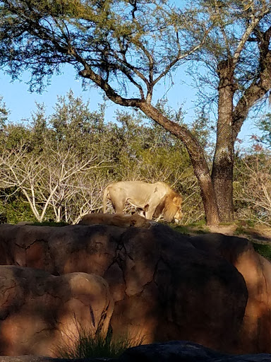 Performing Arts Theater «Blue Man Group», reviews and photos, 6000 Universal Blvd, Orlando, FL 32819, USA