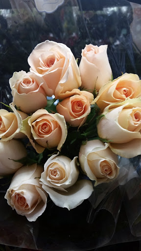 Grocery Store «Kroger», reviews and photos, 125 Towne Dr, Bluffton, SC 29910, USA