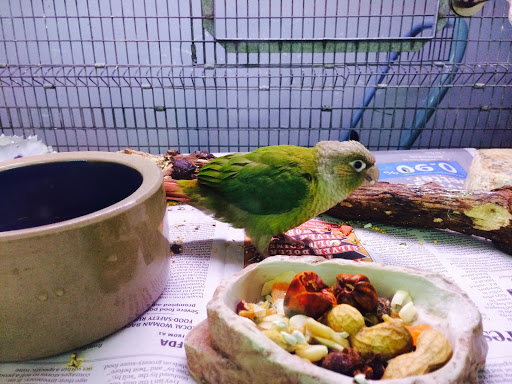 Pet Store «Sierra Fish and Pets», reviews and photos, 601 S Grady Way Suite M, Renton, WA 98057, USA