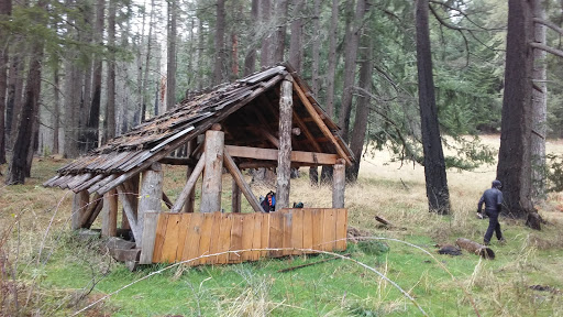 National Forest «Umpqua National Forest», reviews and photos, 1121 Houser Ct, Idleyld Park, OR 97447, USA