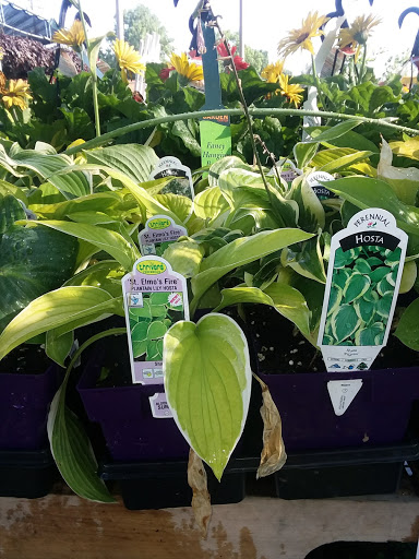 Hardware Store «Westlake Ace Hardware 080», reviews and photos, 708 S Aspen Ave, Broken Arrow, OK 74012, USA