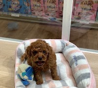 ペットプラス 長野店