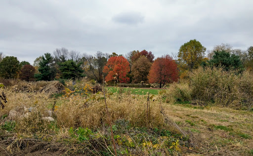 Golf Course «Blacklick Woods Metro Golf», reviews and photos, 7309 E Livingston Ave, Reynoldsburg, OH 43068, USA