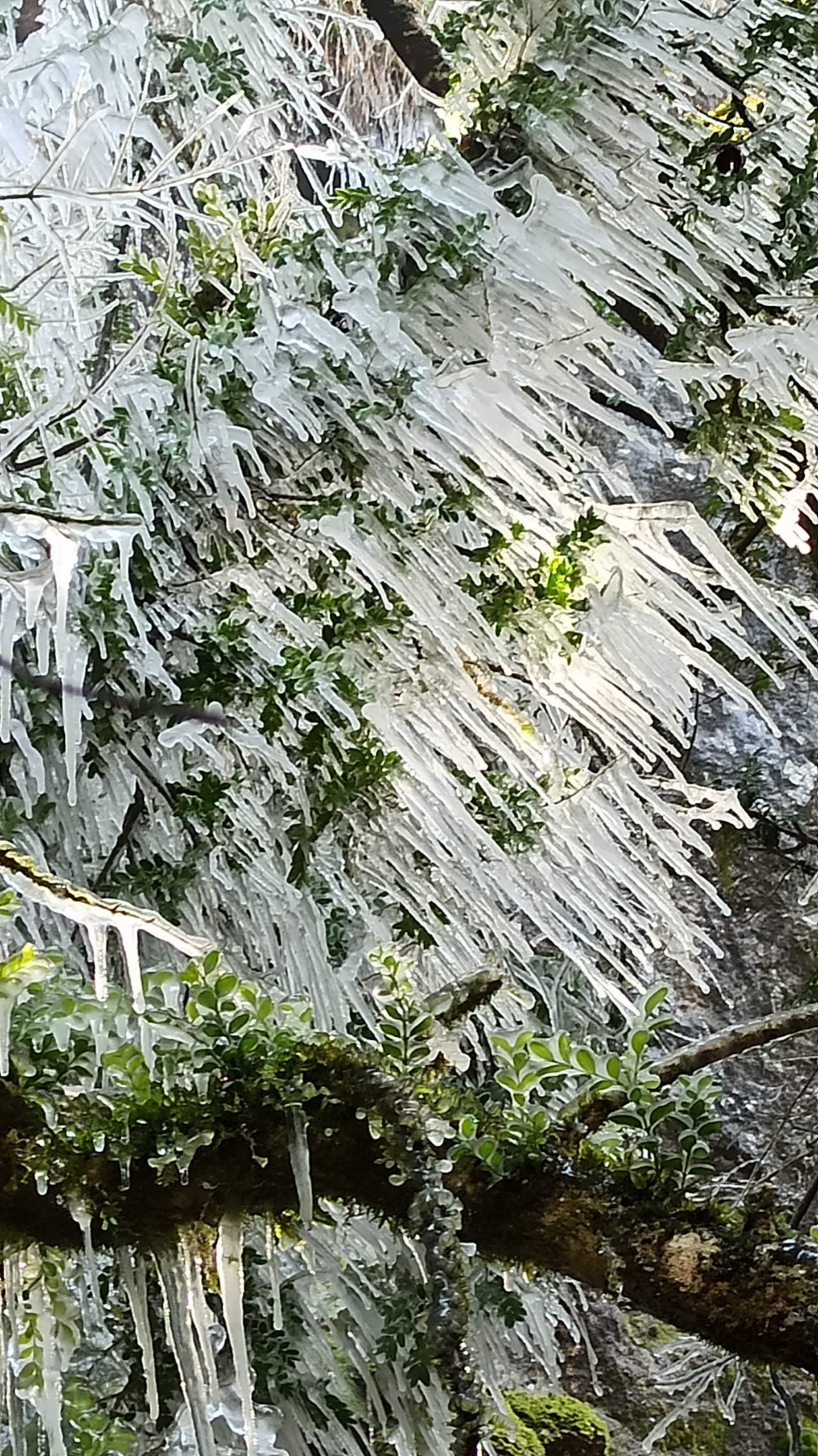 Photo n° 30 de l'avis de Veltas. fait le 30/10/2019 à 11:55