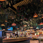 Photo n°1 de l'avis de eurydice.e fait le 19/02/2024 à 06:42 sur le  Mama Shelter Roma à Rome