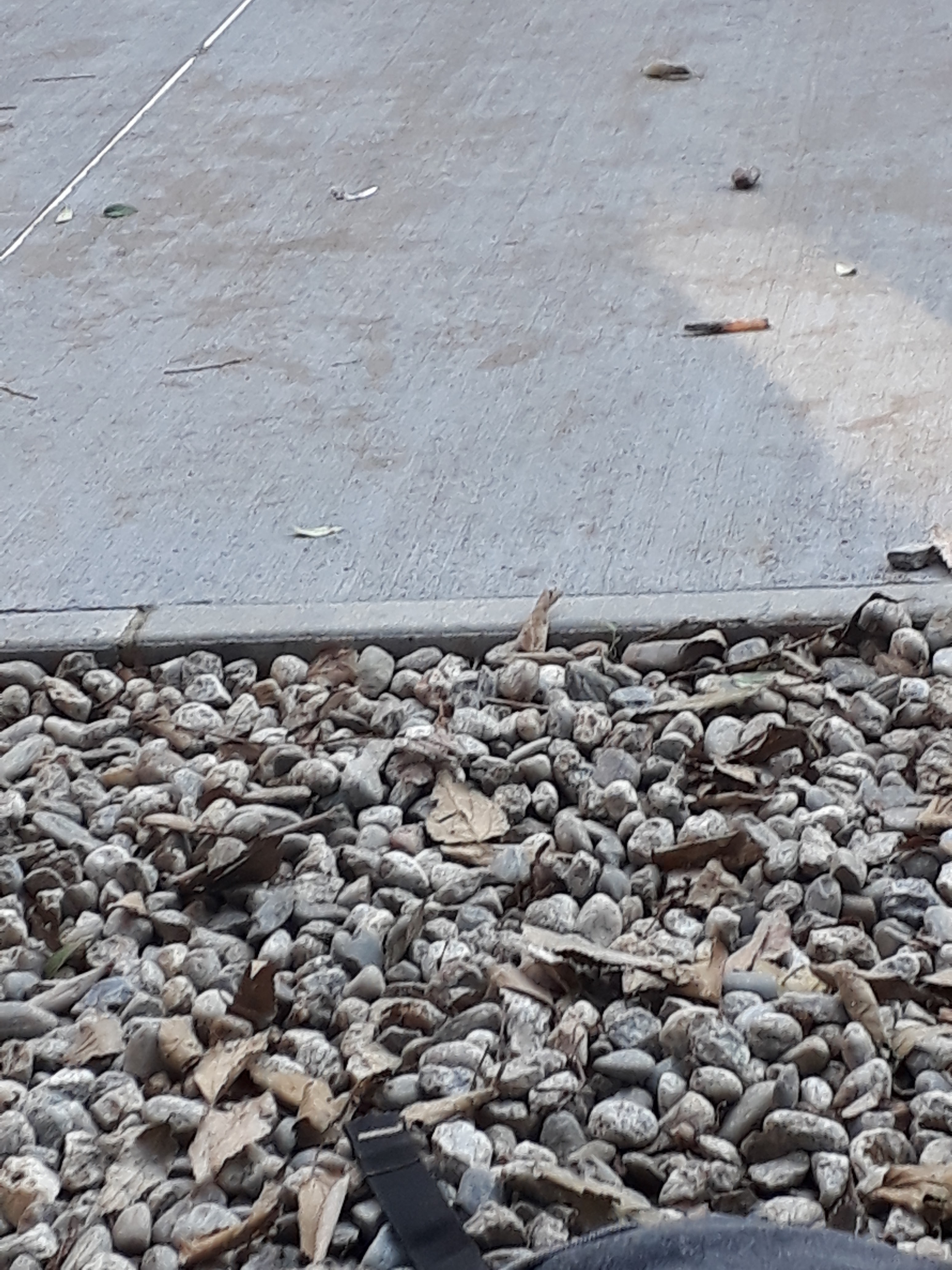 Photo n° 30 de l'avis de William.m fait le 11/12/2018 à 12:09