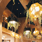 Photo n°1 de l'avis de Giuliana.u fait le 13/11/2023 à 19:54 sur le  Sophia Loren Restaurant Firenze à Florence