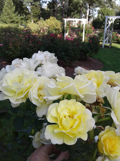 Zoo «Capron Park Zoo», reviews and photos, 201 County St, Attleboro, MA 02703, USA