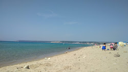 Mecidiye coast beach'in fotoğrafı ve yerleşim