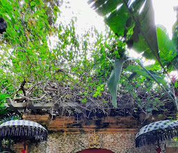 The Blanco Renaissance Museum photo